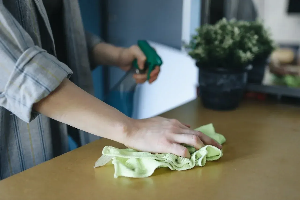 cleaning counter cleaning service in treasure island fl